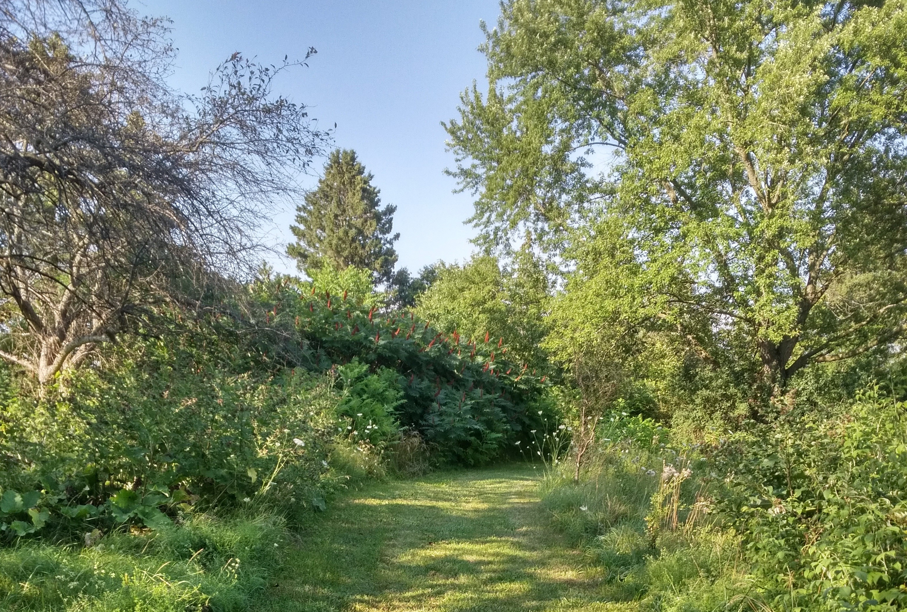 Photo of Kirkton-Woodham Trail
